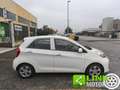 Kia Picanto 1.0 12V 5 porte Glam Blanc - thumbnail 4