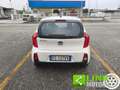 Kia Picanto 1.0 12V 5 porte Glam Bianco - thumbnail 6
