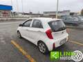 Kia Picanto 1.0 12V 5 porte Glam Bianco - thumbnail 7