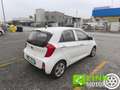 Kia Picanto 1.0 12V 5 porte Glam Bianco - thumbnail 5