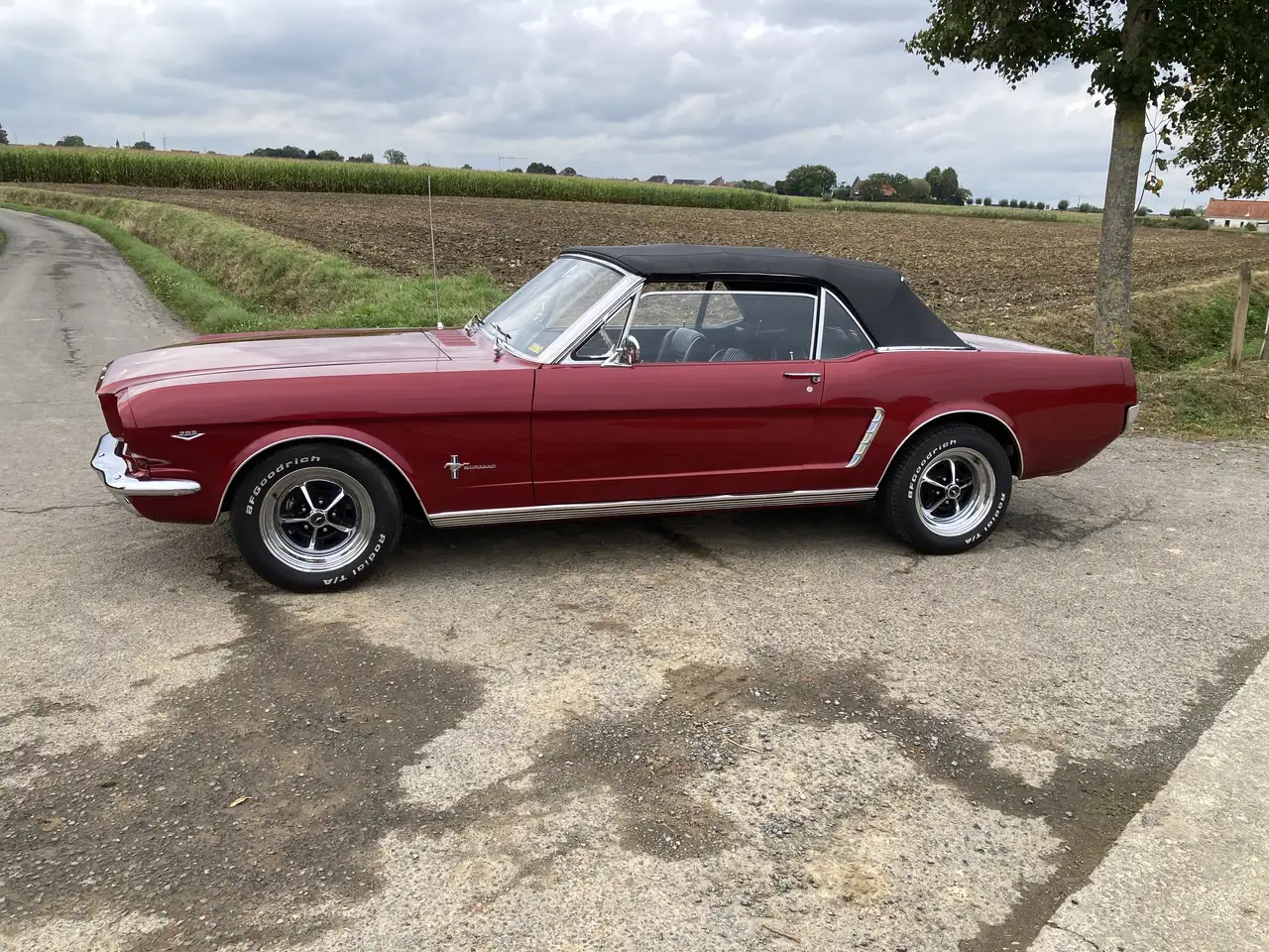 Ford Mustang 1965 Cabriolet v8 289 Boîte Automatique, foto 4