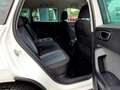 SEAT Ateca 1.5 TSI Style LED Klimaautomatik Sitzheizung Weiß - thumbnail 9
