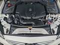 Mercedes-Benz C 250 BlueTEC AMG Line Automatik+AHK Blanc - thumbnail 22