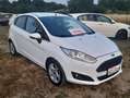 Ford Fiesta 1.4 TDCI 5P TITANIUM Bianco - thumbnail 5
