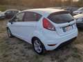 Ford Fiesta 1.4 TDCI 5P TITANIUM Bianco - thumbnail 3