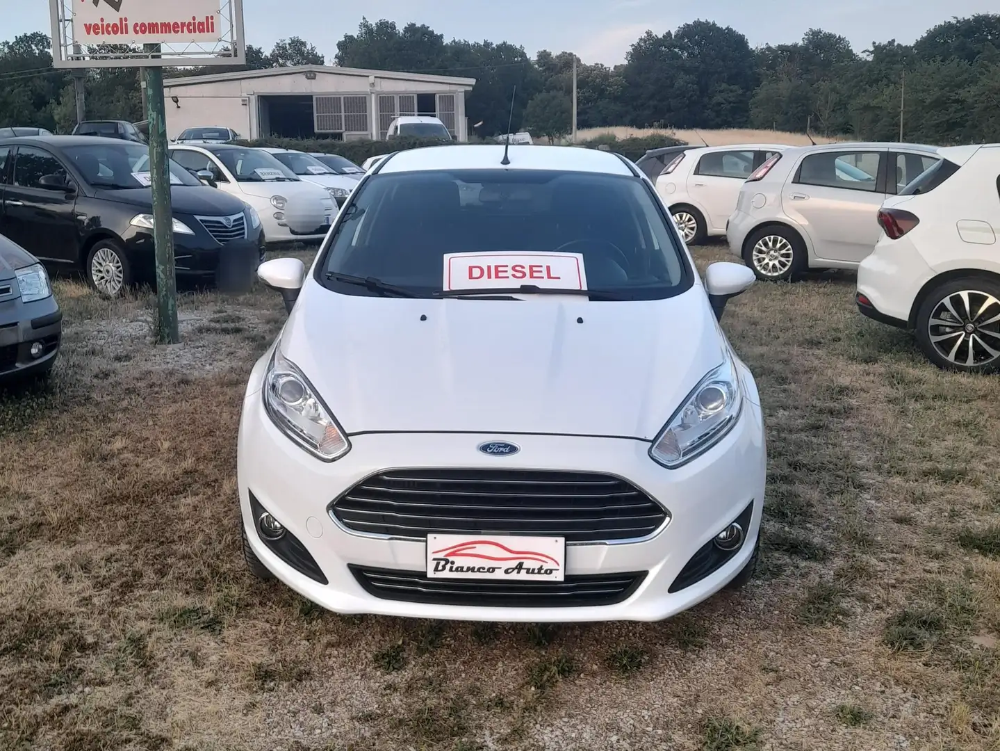 Ford Fiesta 1.4 TDCI 5P TITANIUM Bianco - 1