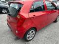 Kia Picanto 1.0 Benzin Pickerl 9/2027 Rot - thumbnail 5