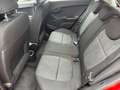Kia Picanto 1.0 Benzin Pickerl 9/2027 Rot - thumbnail 11