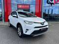 Toyota RAV 4 2.5 Hybrid Executive Wit - thumbnail 3