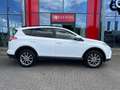 Toyota RAV 4 2.5 Hybrid Executive Wit - thumbnail 5