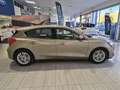 Ford Focus 1.5 EcoBlue 120 ch Titanium BVA Grau - thumbnail 4