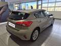Ford Focus 1.5 EcoBlue 120 ch Titanium BVA Grau - thumbnail 5