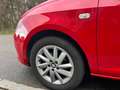 SEAT Ibiza SportCoupé Reference 1,2 - thumbnail 3