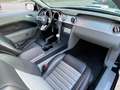 Ford Mustang GT/CS Topzustand Noir - thumbnail 26