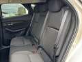 Mazda CX-30 e-Skyactive G150 Homura Gold - thumbnail 9