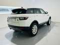 Land Rover Range Rover Evoque 2.0eD4 SE 2WD 150 Weiß - thumbnail 13