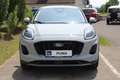 Ford Puma Titanium 1.0EcoBoost mHEV 125PS Grau - thumbnail 2