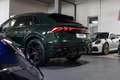 Audi RS Q8 RSQ8 4.0 TFSI quattro performance STHZ FACELIFT Verde - thumbnail 12