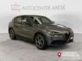 Alfa Romeo Stelvio 2.2 Turbodiesel 210 CV AT8 Q4 Veloce Grigio - thumbnail 3