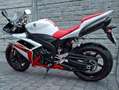Yamaha YZF-R1 Alb - thumbnail 10