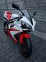 Yamaha YZF-R1 Alb - thumbnail 3