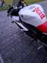 Yamaha YZF-R1 Alb - thumbnail 9