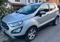 Ford EcoSport 1.5 ecoblue Business awd s&s 125cv my19 Gris - thumbnail 1