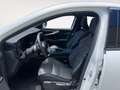 Renault Rafale Techno full hybrid E-Tech 200CV (147kW) Blanco - thumbnail 9