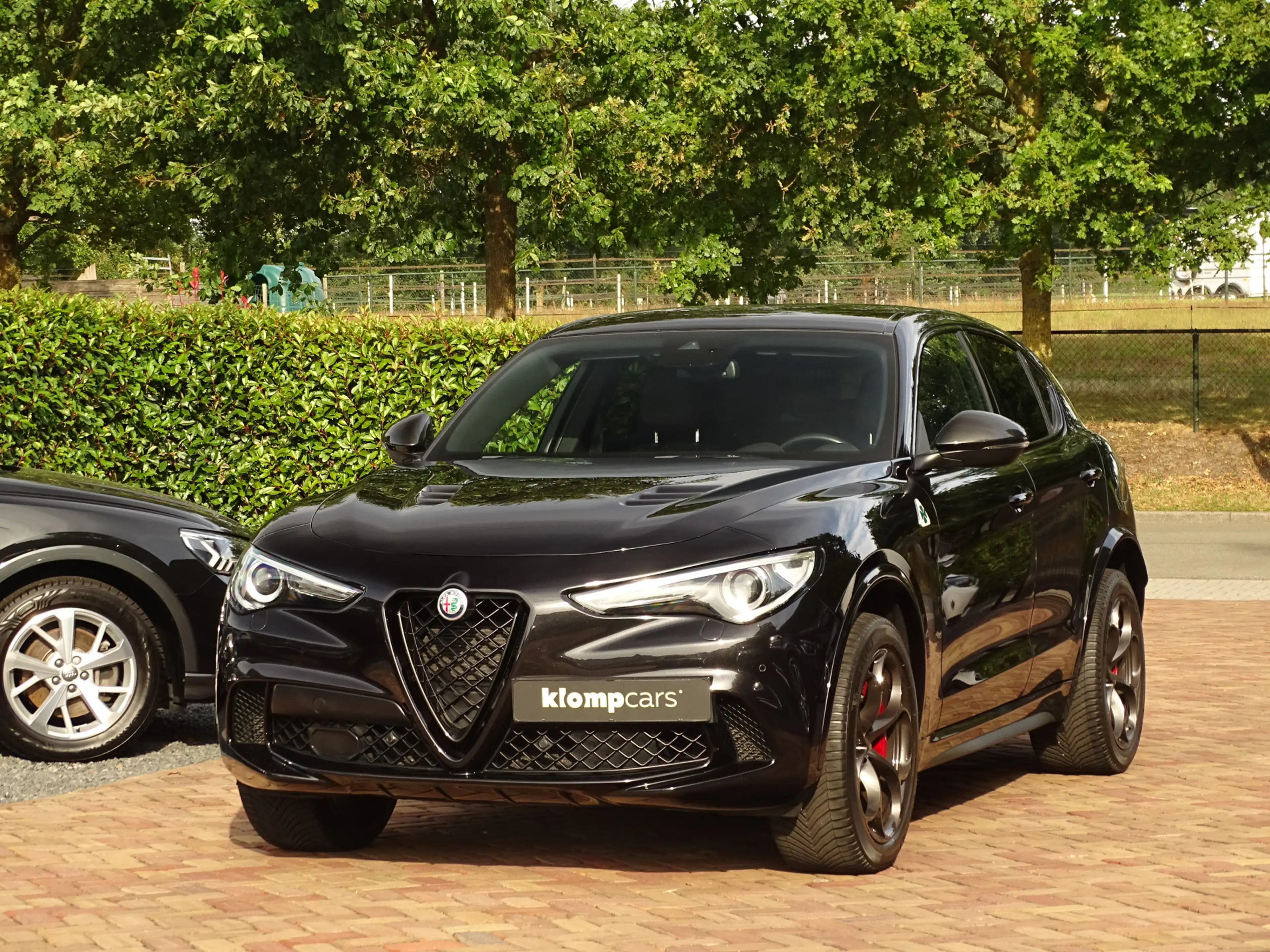 Alfa Romeo Stelvio 2.9 V6 AWD Quadrifoglio MY2021 | BTW-auto! | Carbo — photo 11