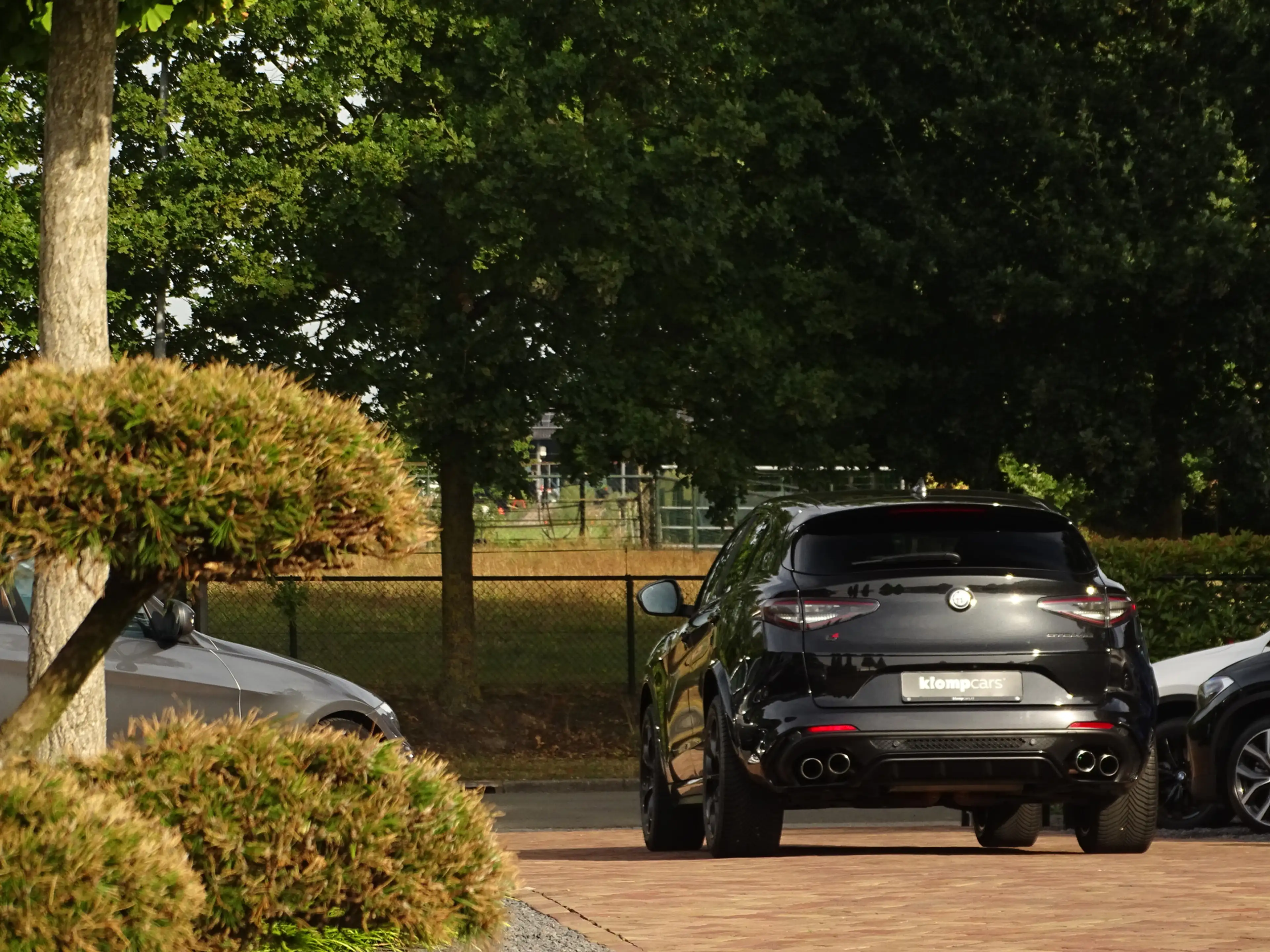 Alfa Romeo Stelvio 2.9 V6 AWD Quadrifoglio MY2021 | BTW-auto! | Carbo — photo 12