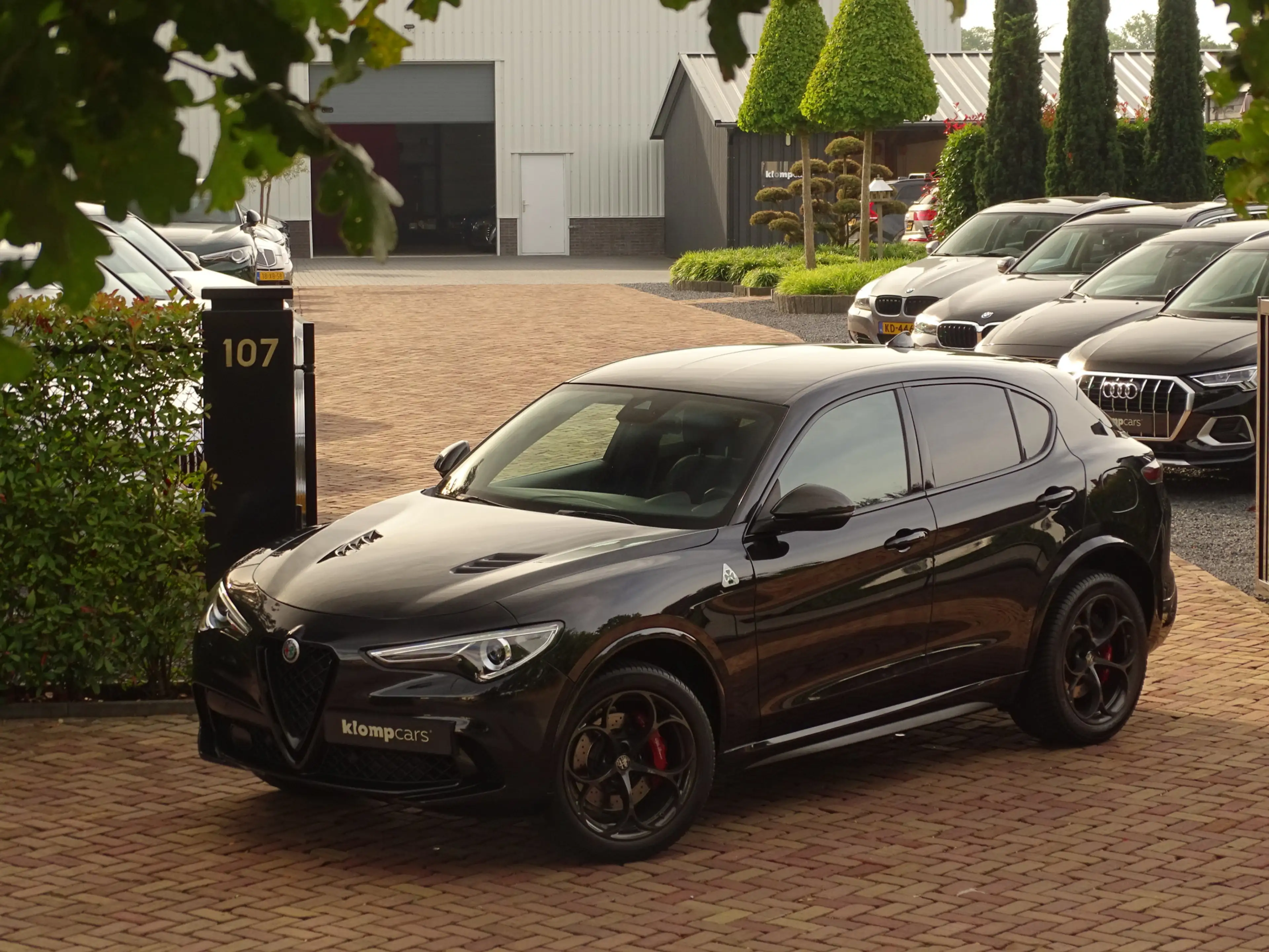 Alfa Romeo Stelvio 2.9 V6 AWD Quadrifoglio MY2021 | BTW-auto! | Carbo — photo 2
