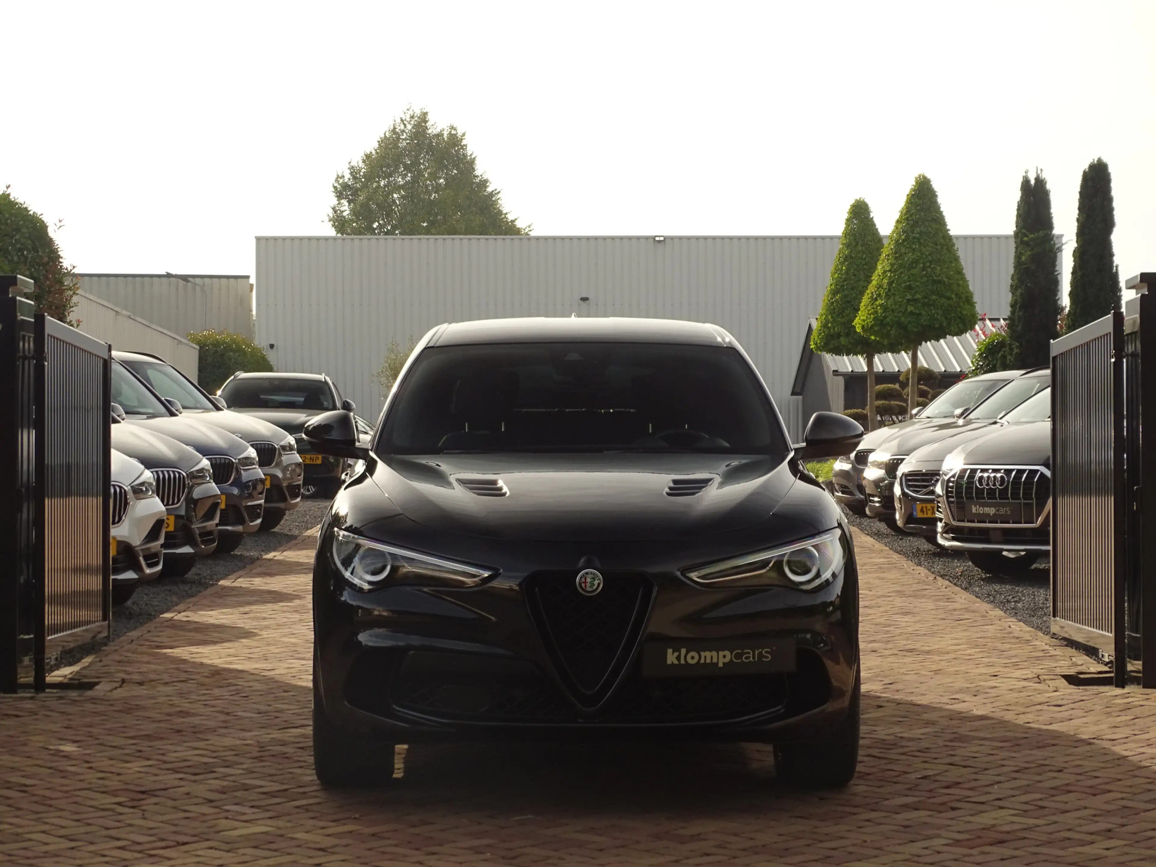 Alfa Romeo Stelvio 2.9 V6 AWD Quadrifoglio MY2021 | BTW-auto! | Carbo — photo 41