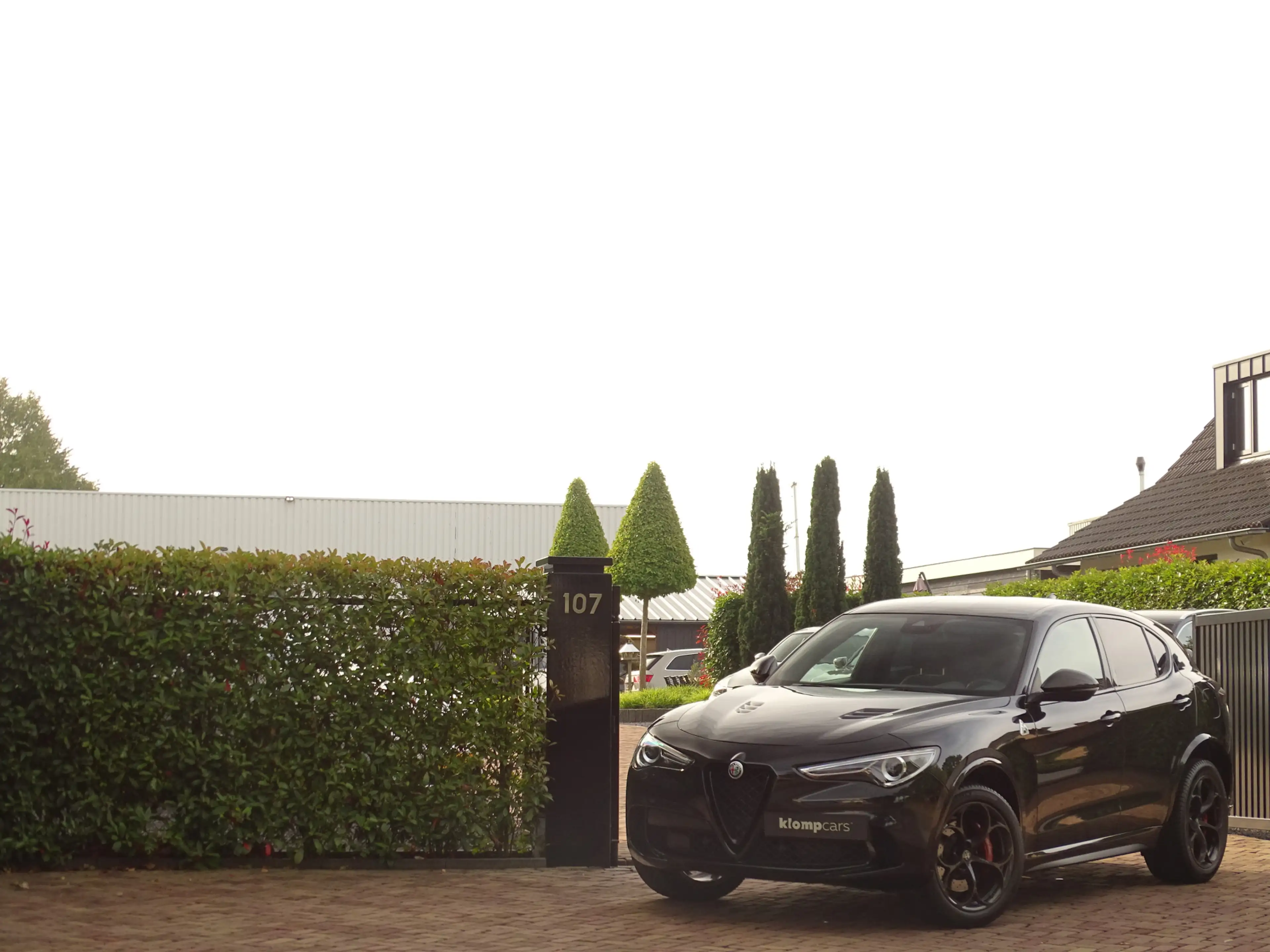Alfa Romeo Stelvio 2.9 V6 AWD Quadrifoglio MY2021 | BTW-auto! | Carbo — photo 43