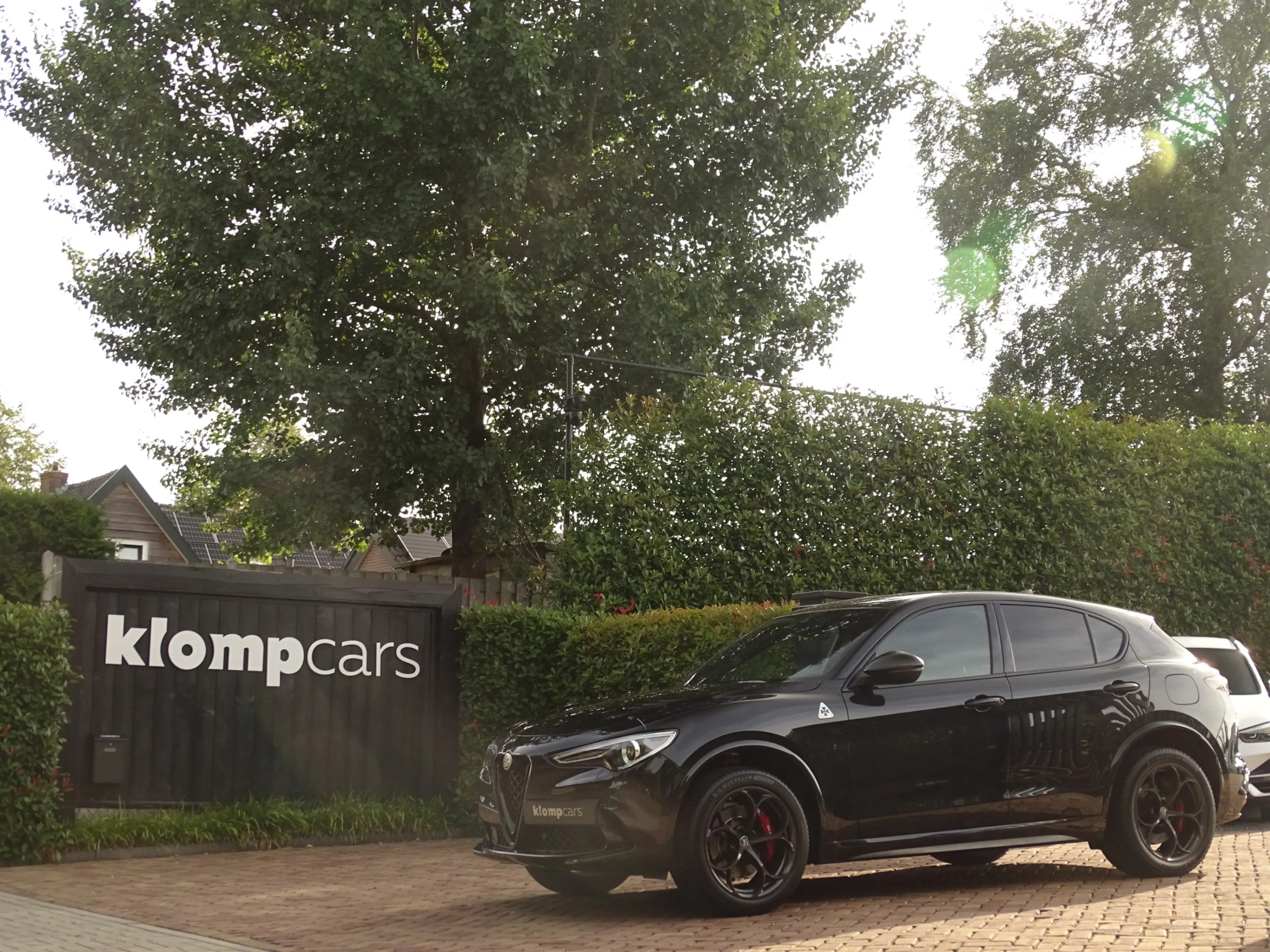 Alfa Romeo Stelvio 2.9 V6 AWD Quadrifoglio MY2021 | BTW-auto! | Carbo — photo 42