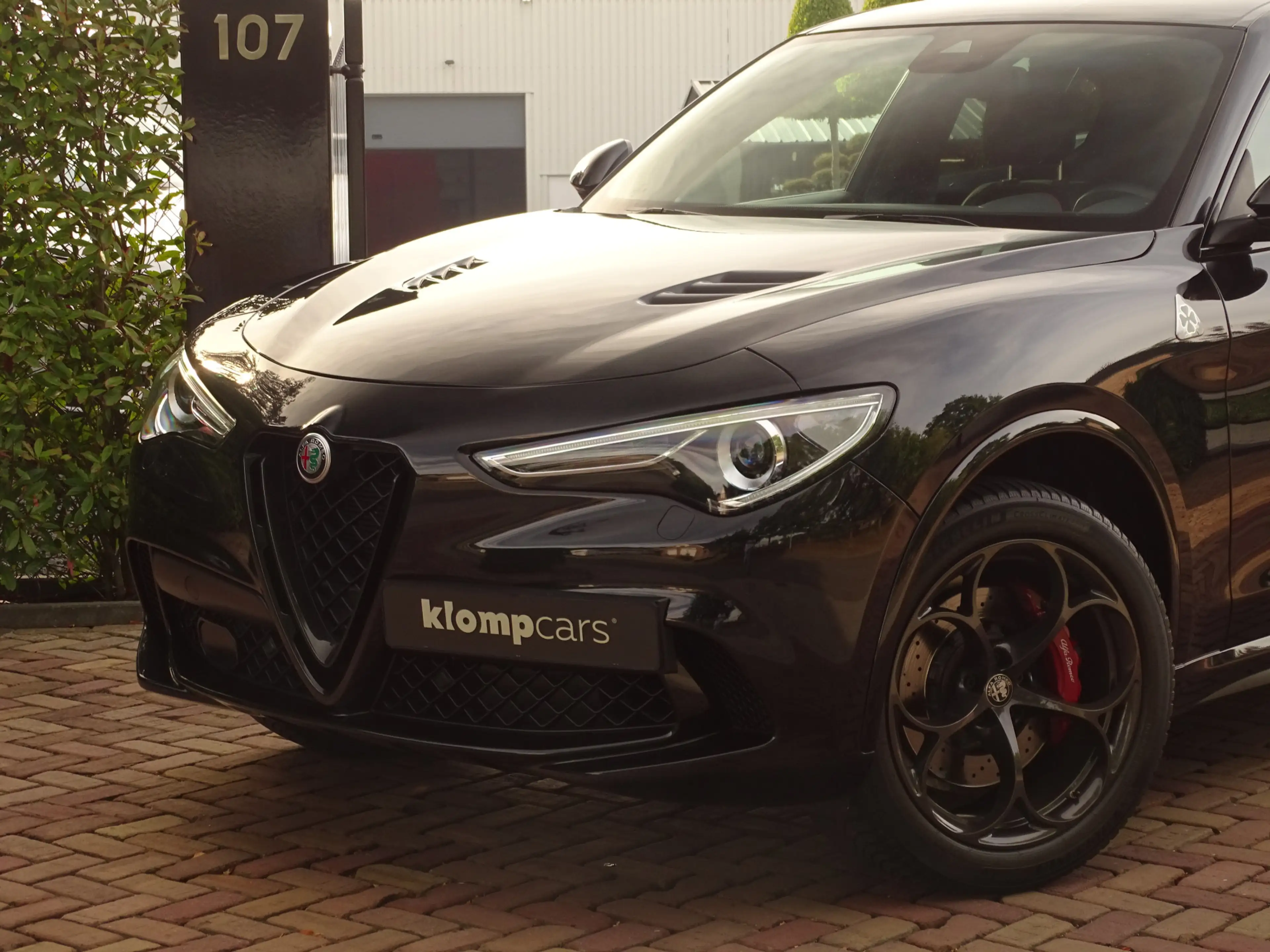 Alfa Romeo Stelvio 2.9 V6 AWD Quadrifoglio MY2021 | BTW-auto! | Carbo — photo 3