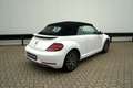 Volkswagen Beetle CABRIO  ALLSTAR  AUTOMAAT  APPLE CARPLAY  TOP Wit - thumbnail 7