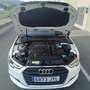Audi A3 1.6TDI Design Edition 85kW Blanco - thumbnail 31