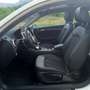 Audi A3 1.6TDI Design Edition 85kW Blanco - thumbnail 14