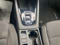 Skoda Octavia Wagon 2.0TDI evo Executive 150cv DSG Grau - thumbnail 13