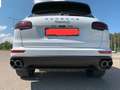 Porsche Cayenne S E-Hybrid PlatinumEd. SITZBELÜF+PANO+21 Weiß - thumbnail 4
