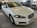 Jaguar XF xf (2) 2.0 240 luxe bva9 Weiß - thumbnail 3