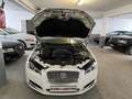 Jaguar XF xf (2) 2.0 240 luxe bva9 Weiß - thumbnail 30