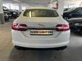 Jaguar XF xf (2) 2.0 240 luxe bva9 Weiß - thumbnail 5