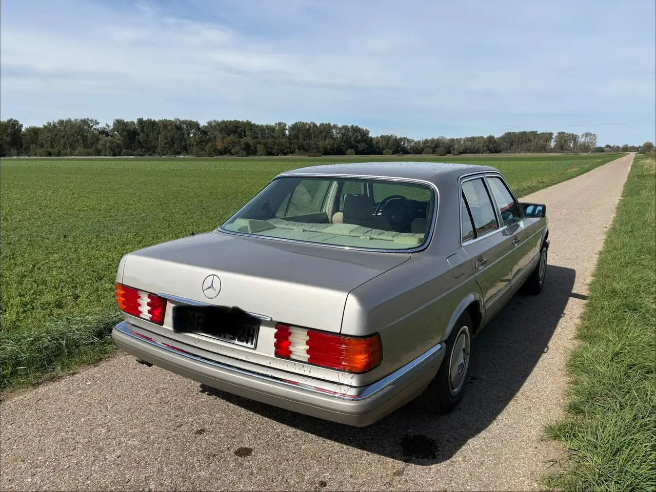 Mercedes-Benz S 260 260 SE, foto 3