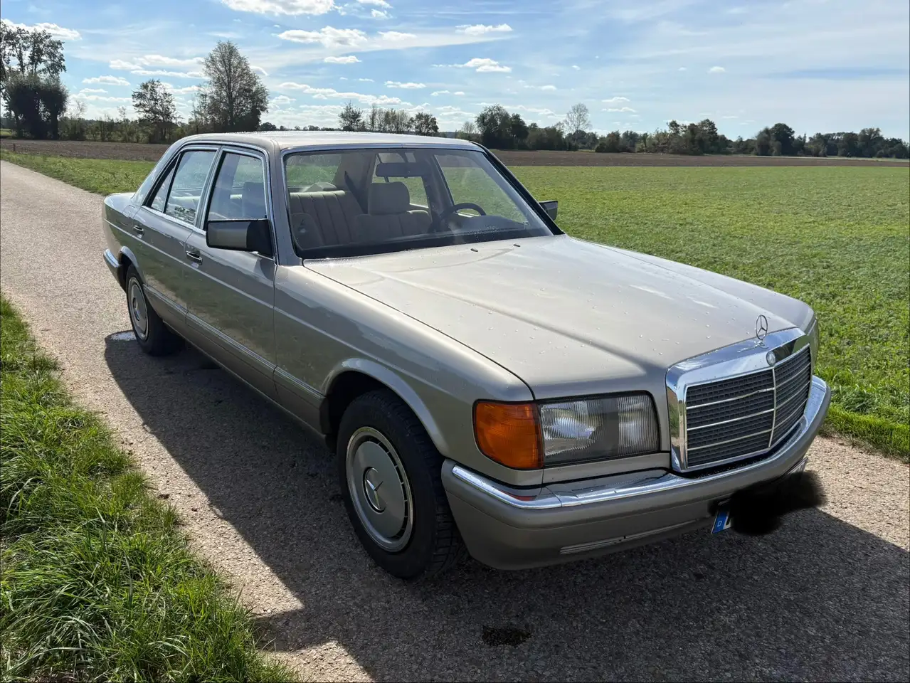 Mercedes-Benz S 260 260 SE, foto 1