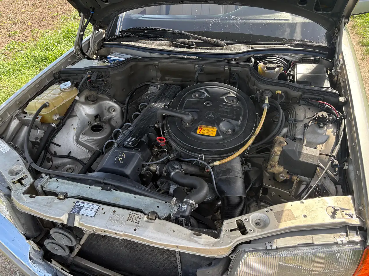 Mercedes-Benz S 260 260 SE, foto 8