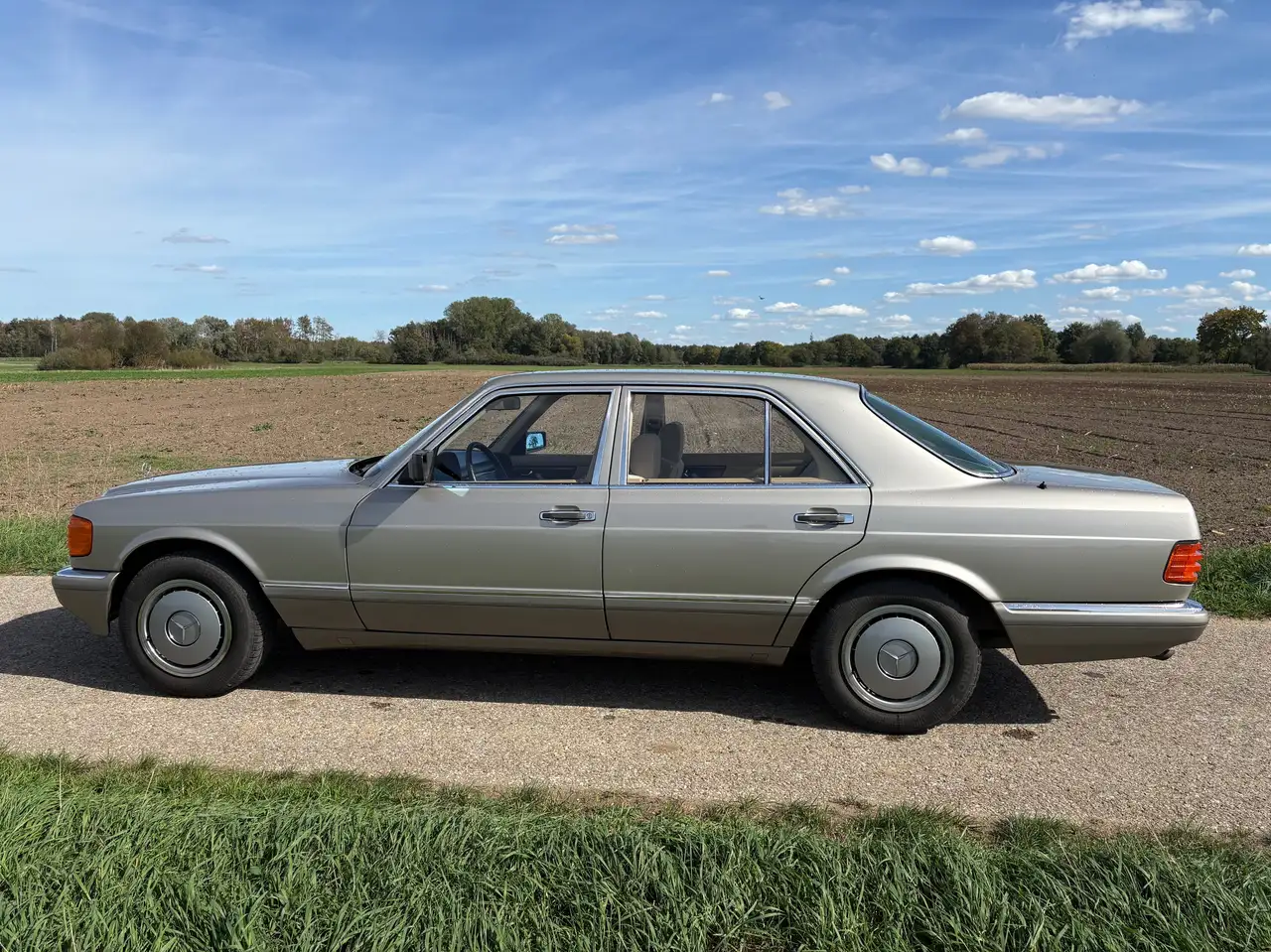 Mercedes-Benz S 260 260 SE, foto 2