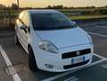 Fiat Grande Punto Grande Punto 3p 1.2 Dynamic 65cv Blanc - thumbnail 16