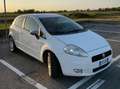 Fiat Grande Punto Grande Punto 3p 1.2 Dynamic 65cv Wit - thumbnail 4