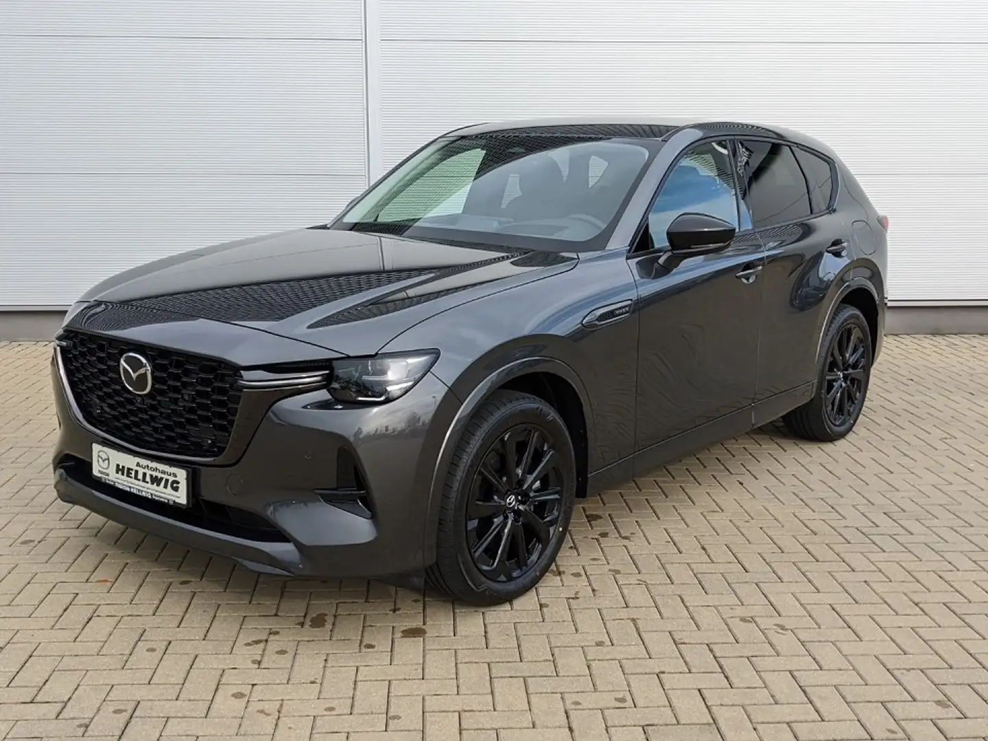 Mazda CX-60 3.3l Homura 2024 alle Pakete 360° Bose Matrix-LED Grau - 2